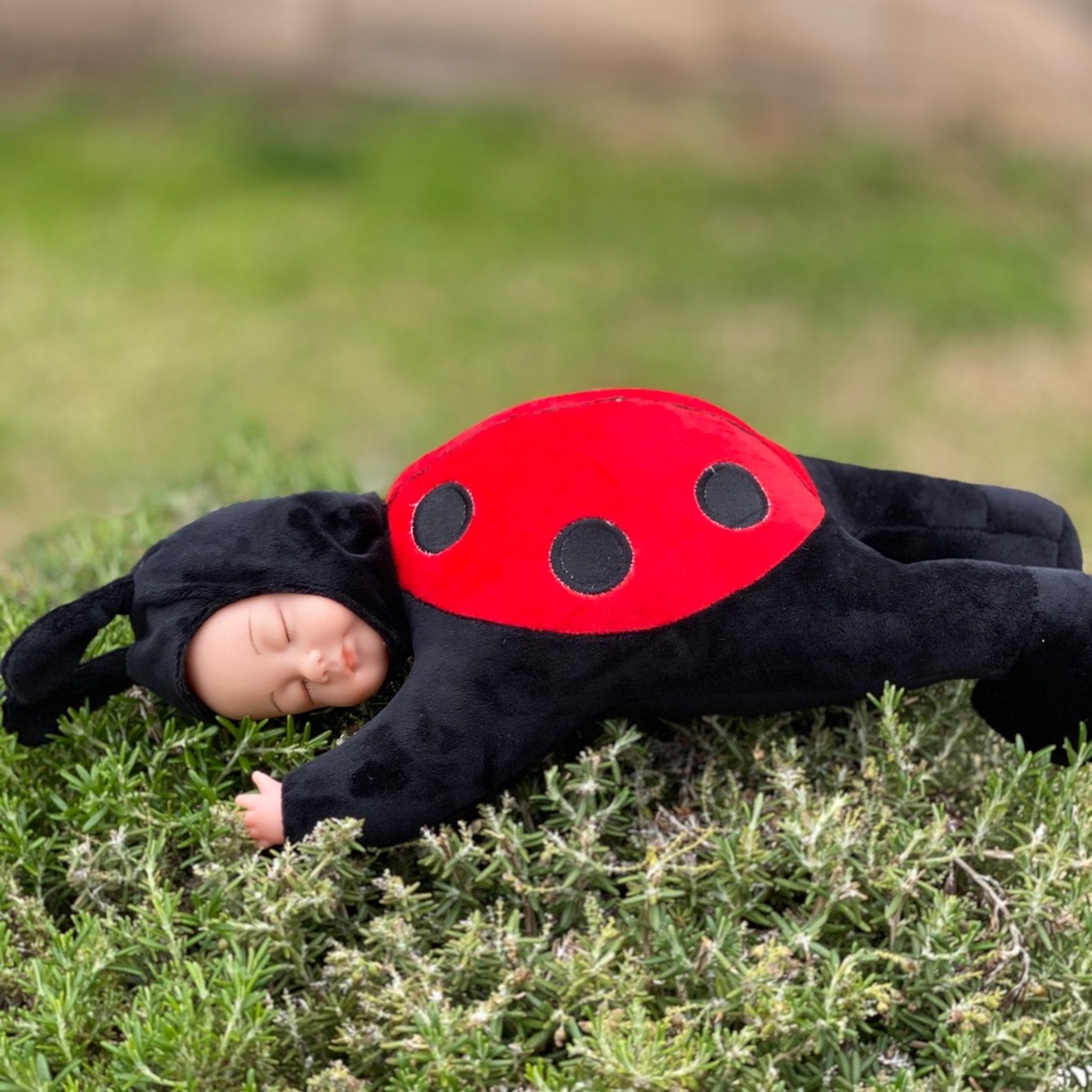 Ladybug plush toy